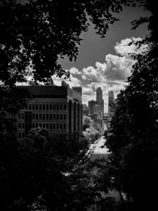 NATURE MEETS URBAN